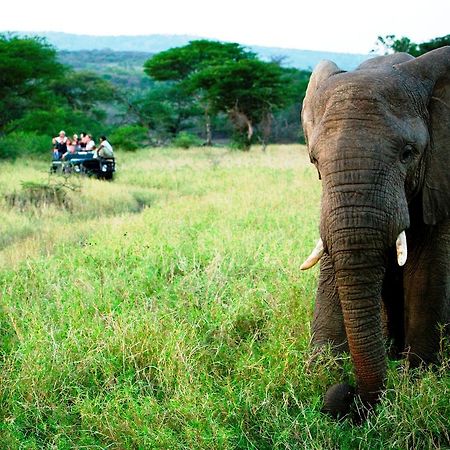 Thula Thula Exclusive Private Game Reserve & Lodge Ntambanana エクステリア 写真