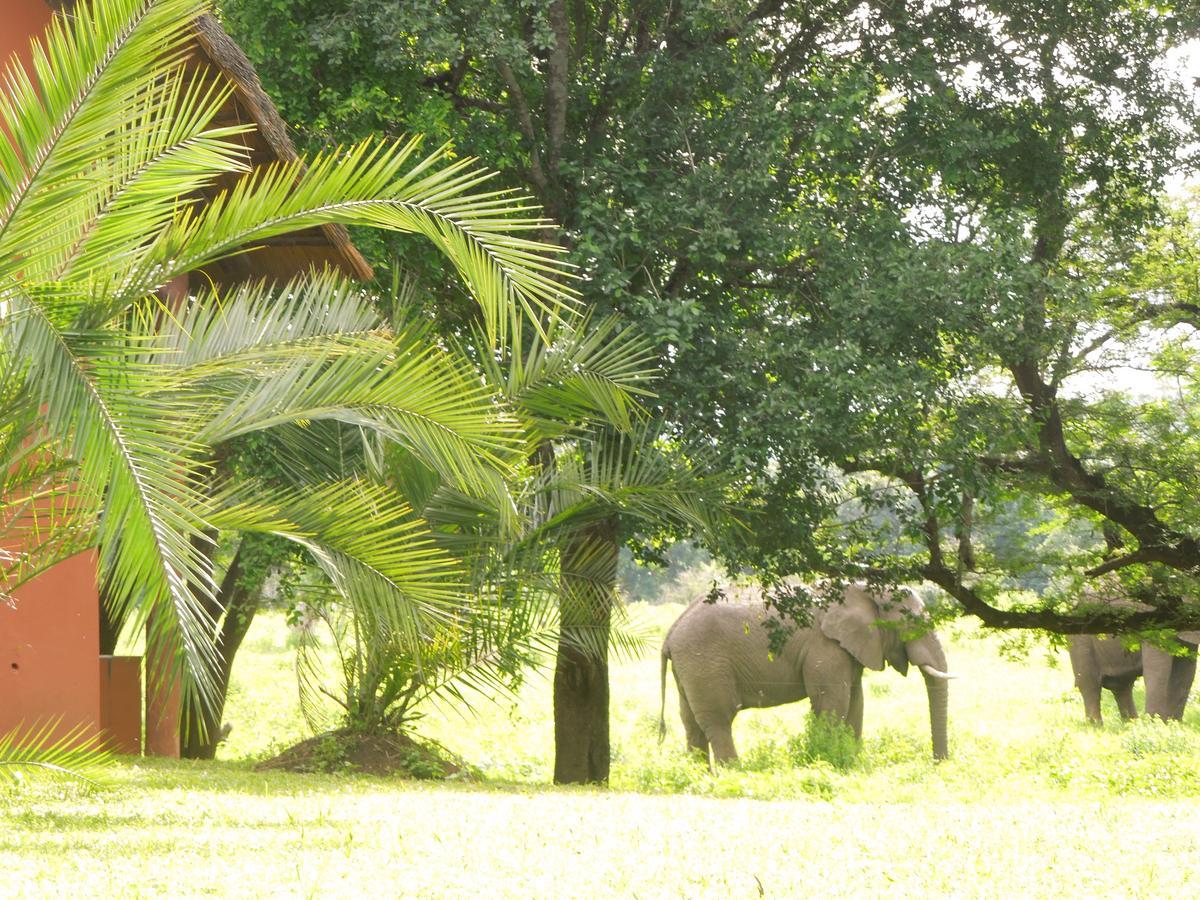Thula Thula Exclusive Private Game Reserve & Lodge Ntambanana エクステリア 写真