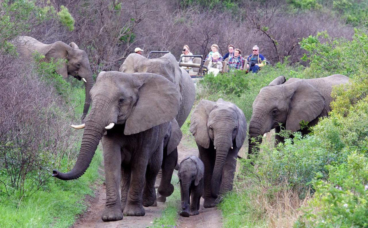 Thula Thula Exclusive Private Game Reserve & Lodge Ntambanana エクステリア 写真