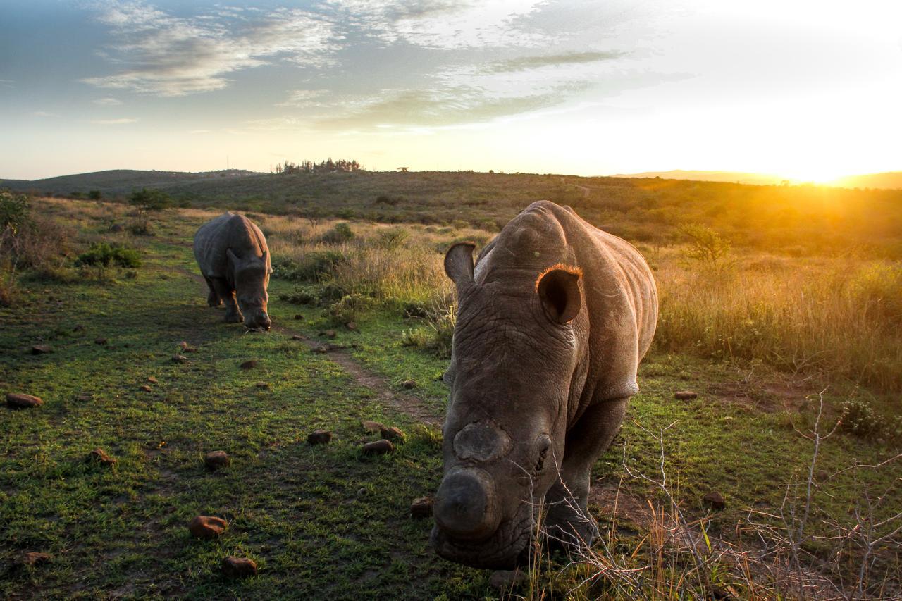 Thula Thula Exclusive Private Game Reserve & Lodge Ntambanana エクステリア 写真