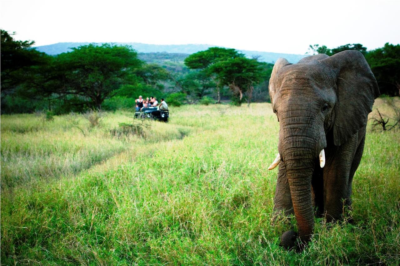 Thula Thula Exclusive Private Game Reserve & Lodge Ntambanana エクステリア 写真