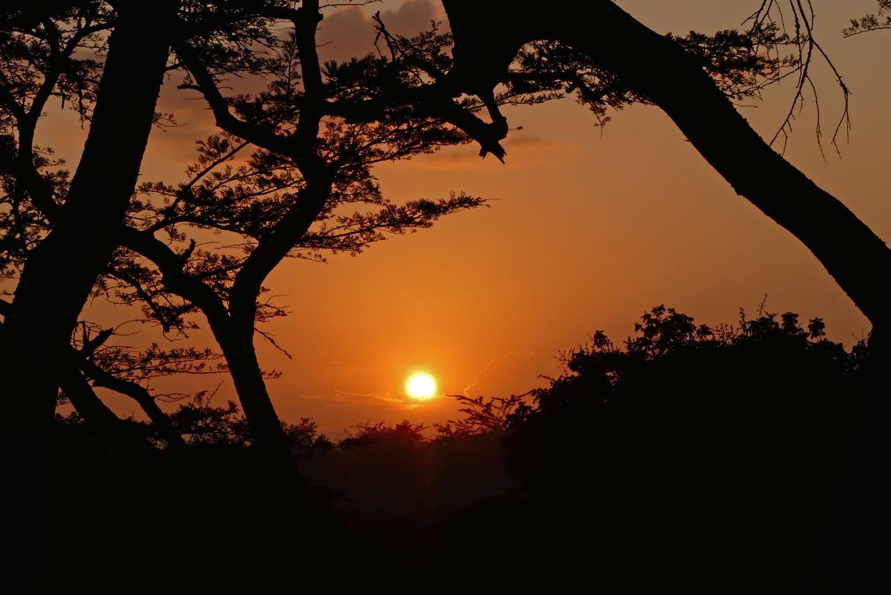 Thula Thula Exclusive Private Game Reserve & Lodge Ntambanana エクステリア 写真